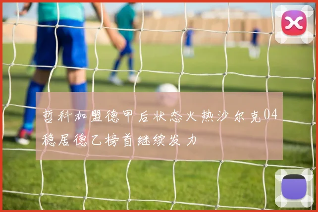哲科加盟德甲后状态火热沙尔克04稳居德乙榜首继续发力