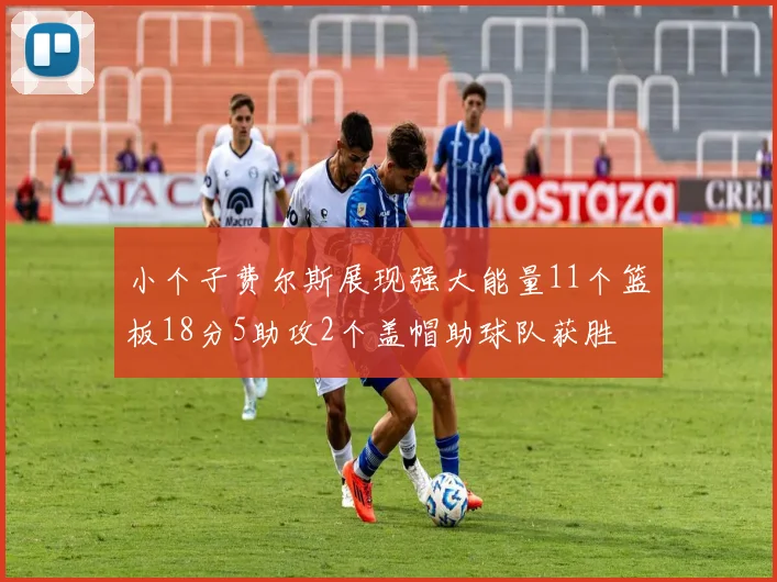 小个子费尔斯展现强大能量11个篮板18分5助攻2个盖帽助球队获胜